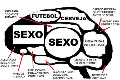 cerebro-masculino-8158