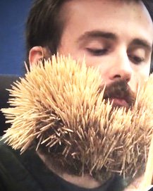 barba_record