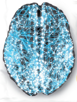 bio