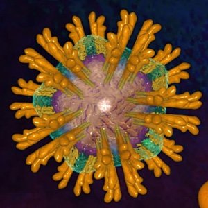hepc_virus
