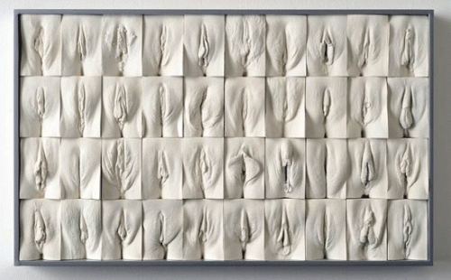 the-great-wall-of-vagina-panel